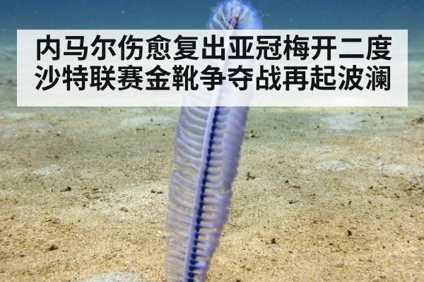内马尔伤愈复出亚冠梅开二度 沙特联赛金靴争夺战再起波澜